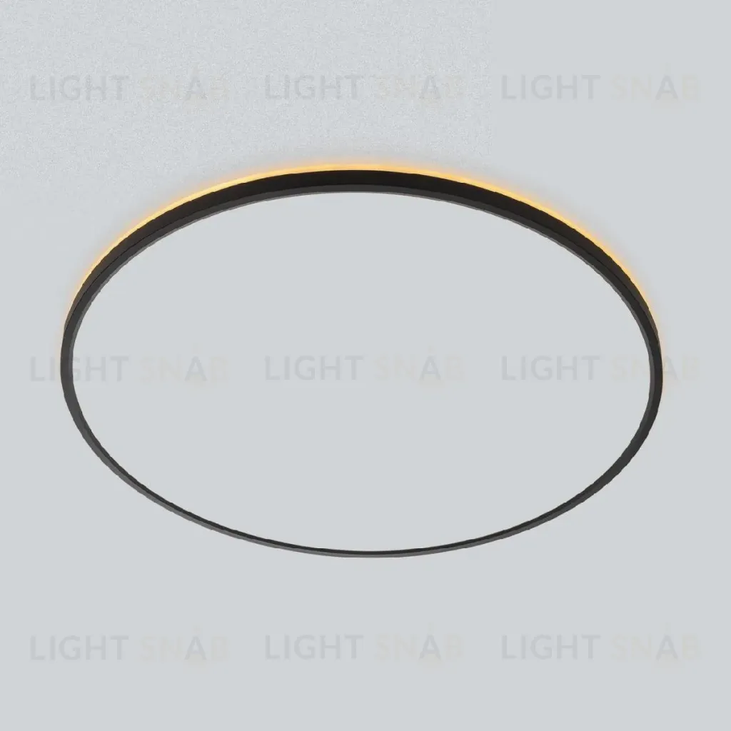 Потолочный светильник Citilux Norma CL748601 CL748601
