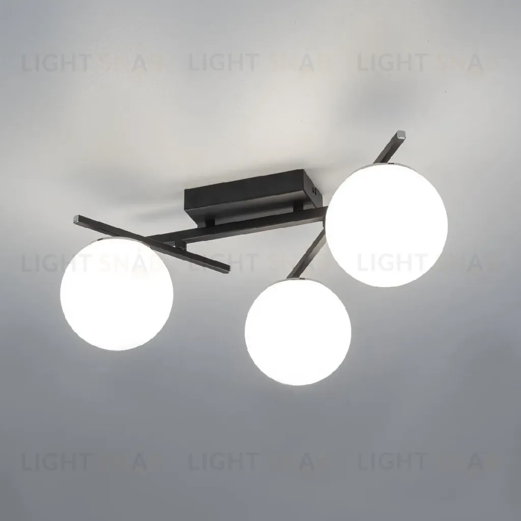 Настенно-потолочный светильник Citilux Dorsy CL223132 CL223132