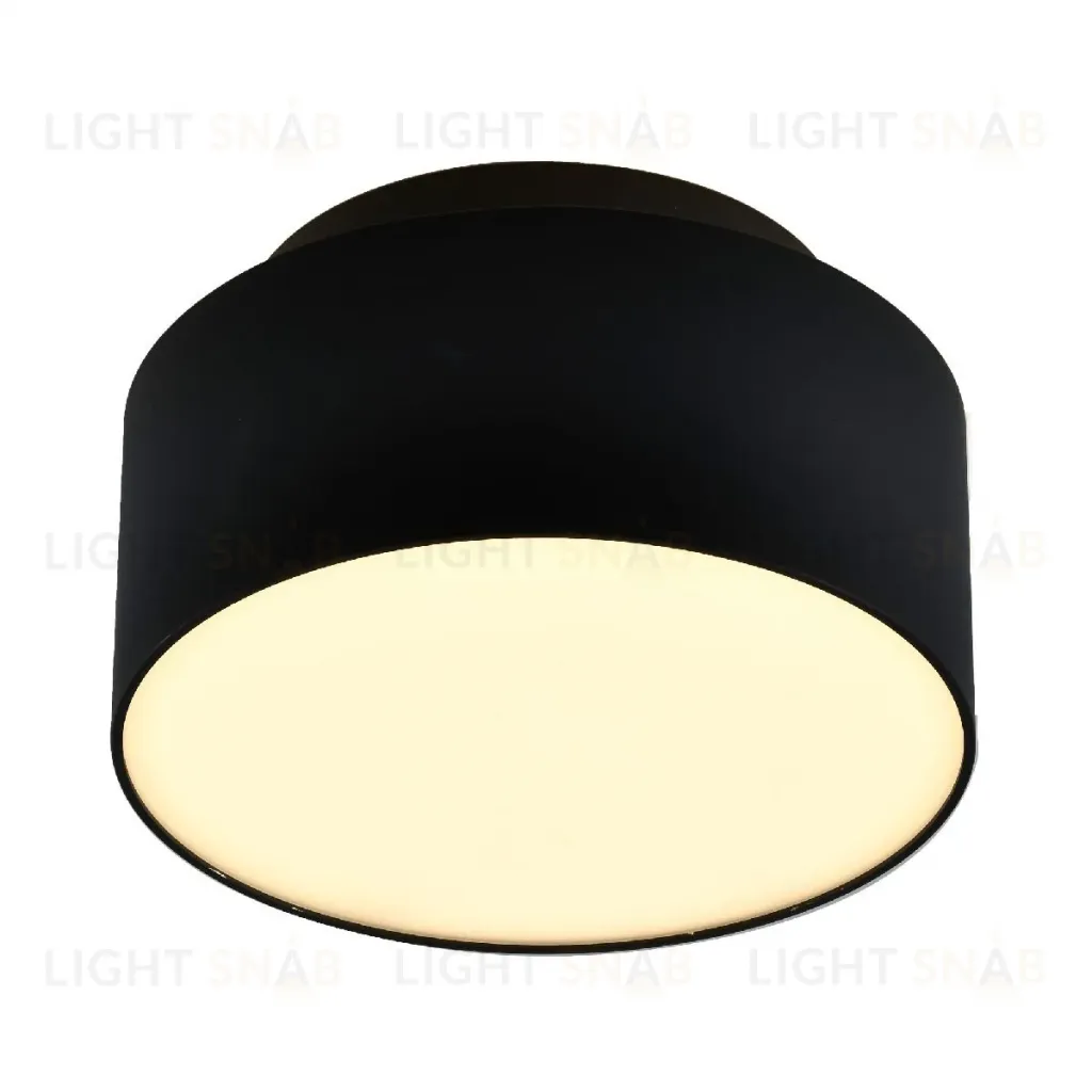 Накладной светильник ST Luce ST166.442.17 ST166.442.17