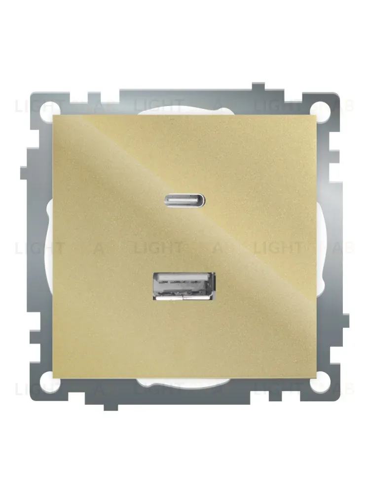 Розетка 2-местная USB + type C Stekker Катрин GLS10-7116-08 50053 50053