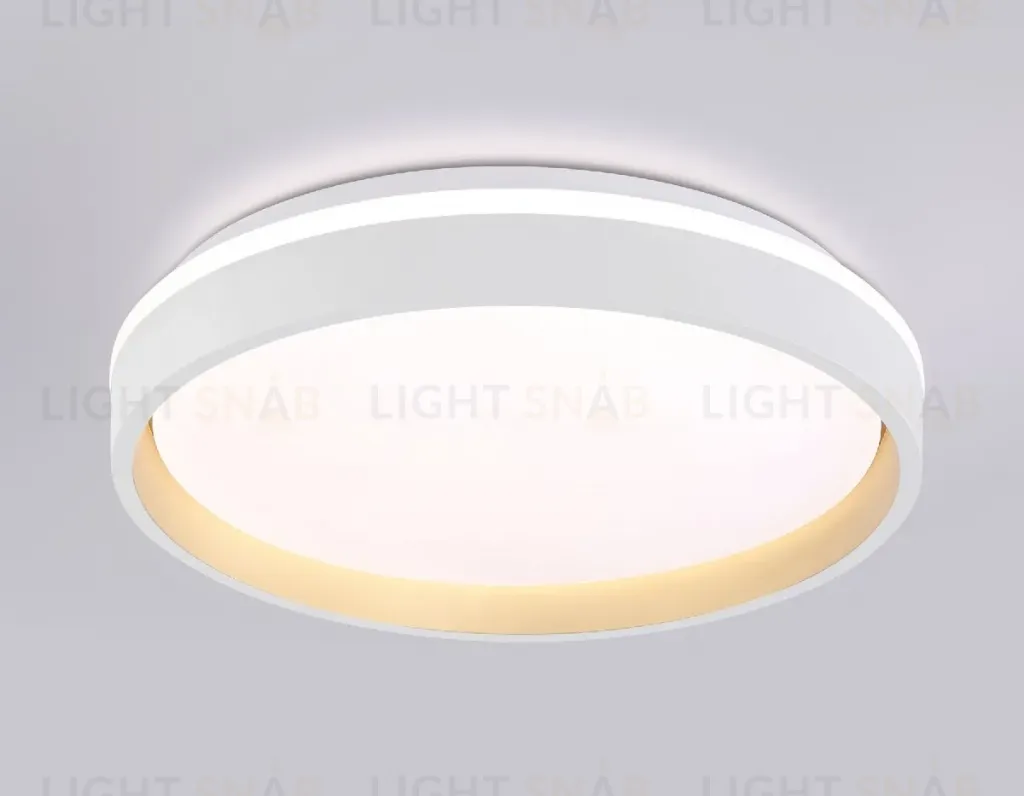 Потолочный светильник Ambrella Light Orbital Dance FZ601 FZ601