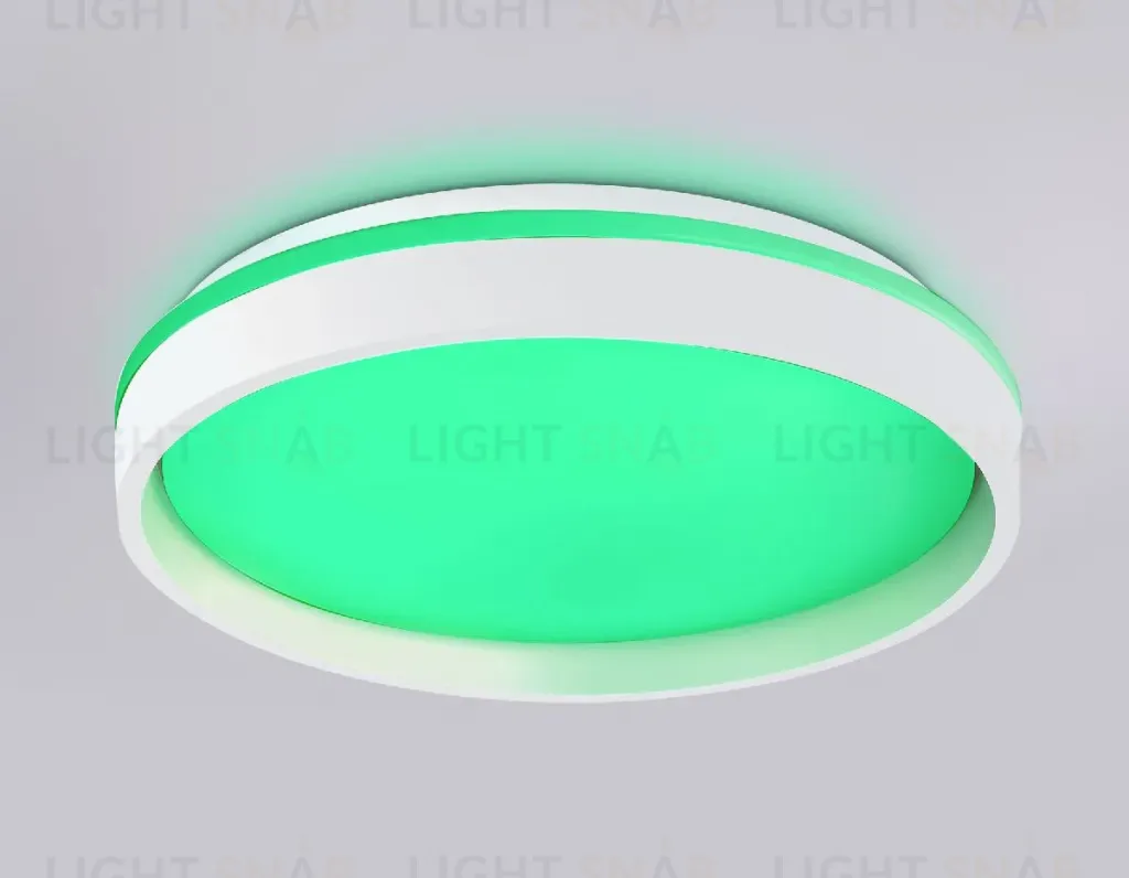 Потолочный светильник Ambrella Light Orbital Dance FZ601 FZ601