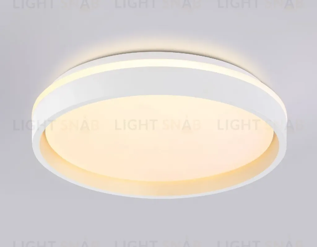 Потолочный светильник Ambrella Light Orbital Dance FZ601 FZ601