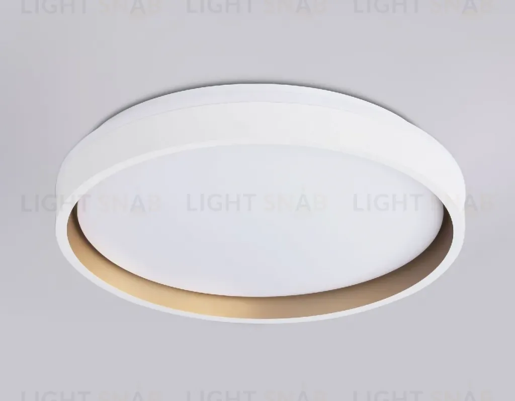 Потолочный светильник Ambrella Light Orbital Dance FZ601 FZ601