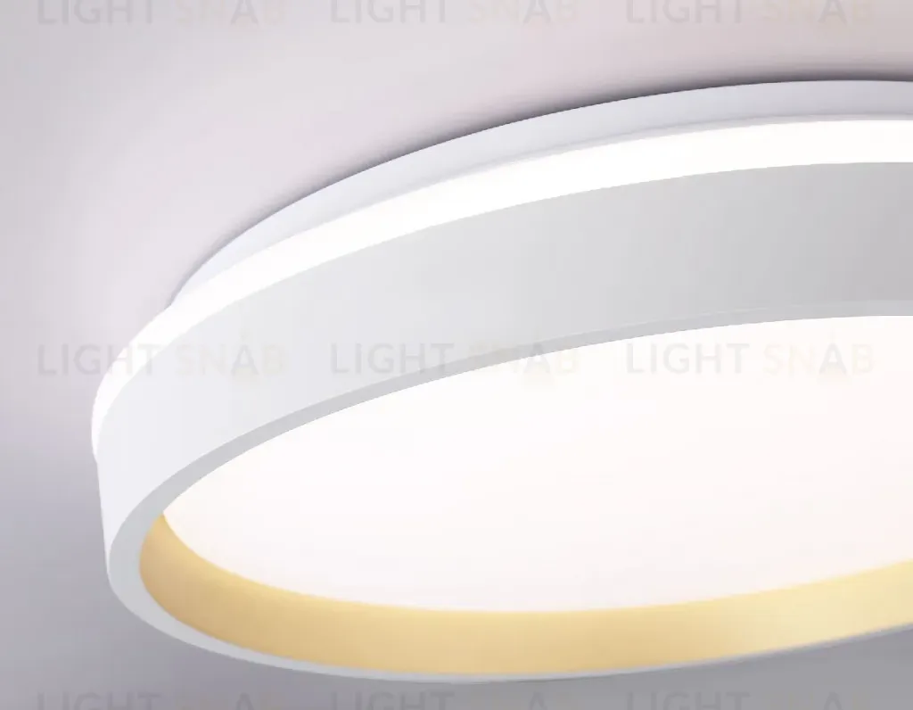 Потолочный светильник Ambrella Light Orbital Dance FZ601 FZ601