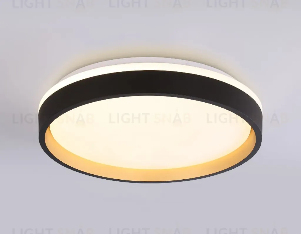 Потолочный светильник Ambrella Light Orbital Dance FZ604 FZ604