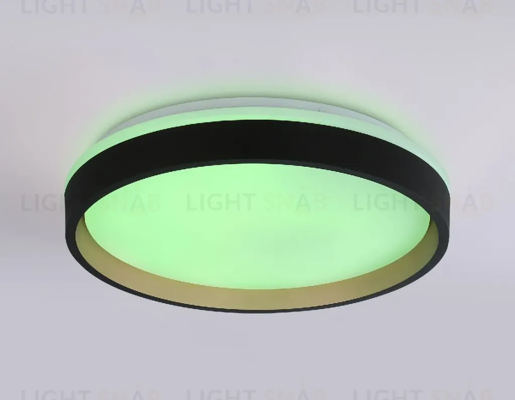 Потолочный светильник Ambrella Light Orbital Dance FZ604 FZ604