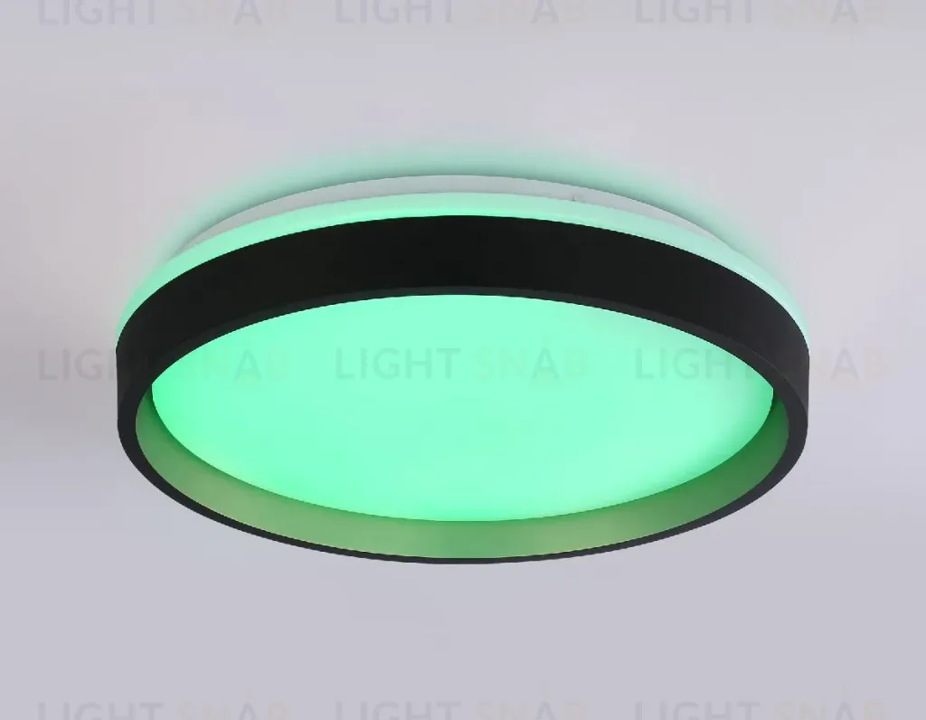 Потолочный светильник Ambrella Light Orbital Dance FZ604 FZ604