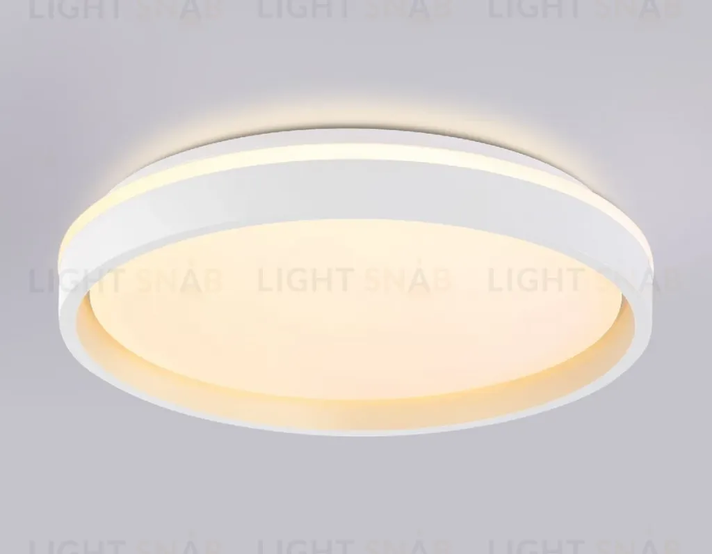 Потолочный светильник Ambrella Light Orbital Dance FZ607 FZ607
