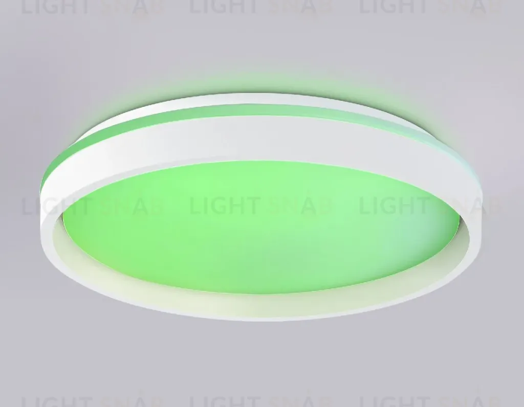 Потолочный светильник Ambrella Light Orbital Dance FZ607 FZ607