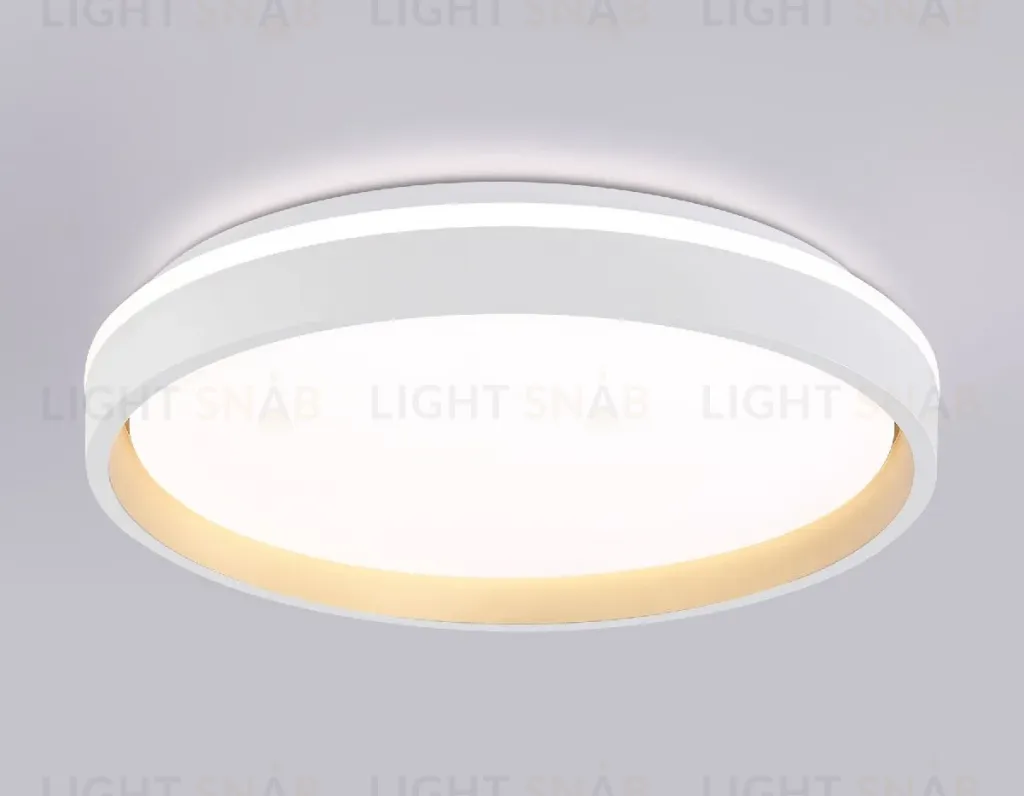 Потолочный светильник Ambrella Light Orbital Dance FZ607 FZ607