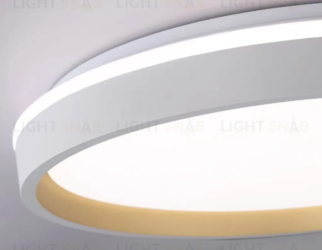 Потолочный светильник Ambrella Light Orbital Dance FZ607 FZ607