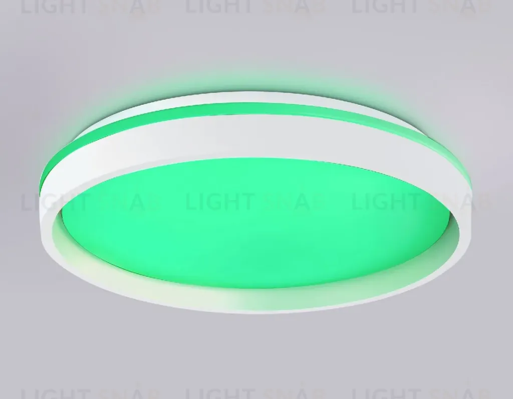 Потолочный светильник Ambrella Light Orbital Dance FZ607 FZ607