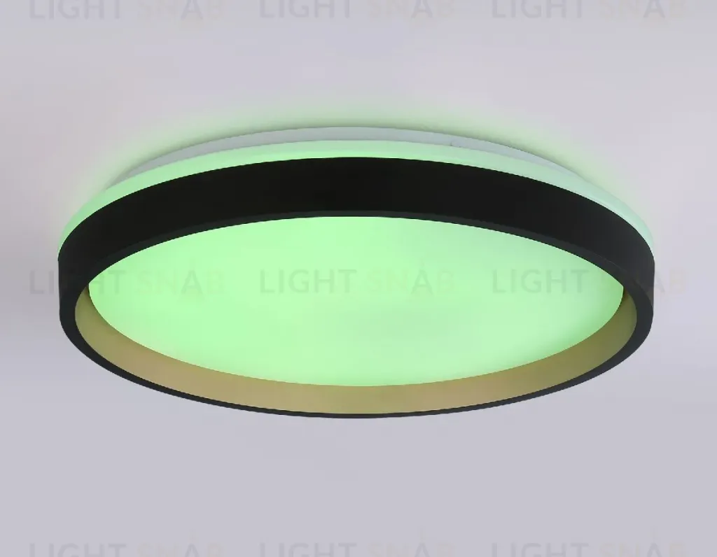 Потолочный светильник Ambrella Light Orbital Dance FZ610 FZ610