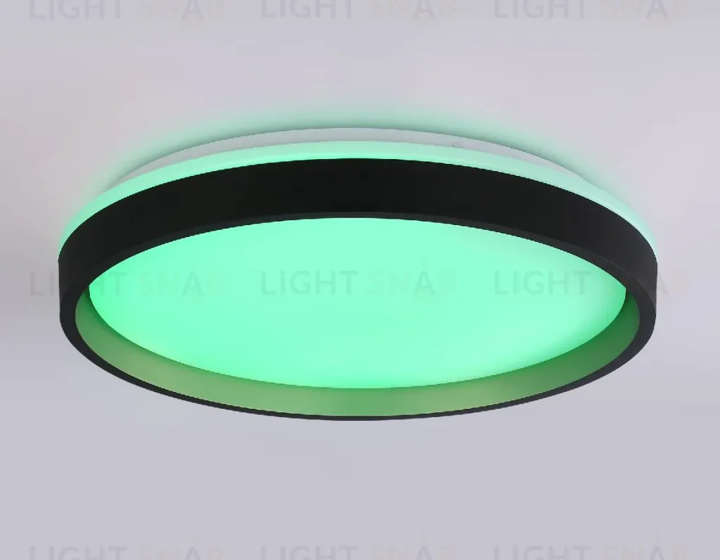 Потолочный светильник Ambrella Light Orbital Dance FZ610 FZ610