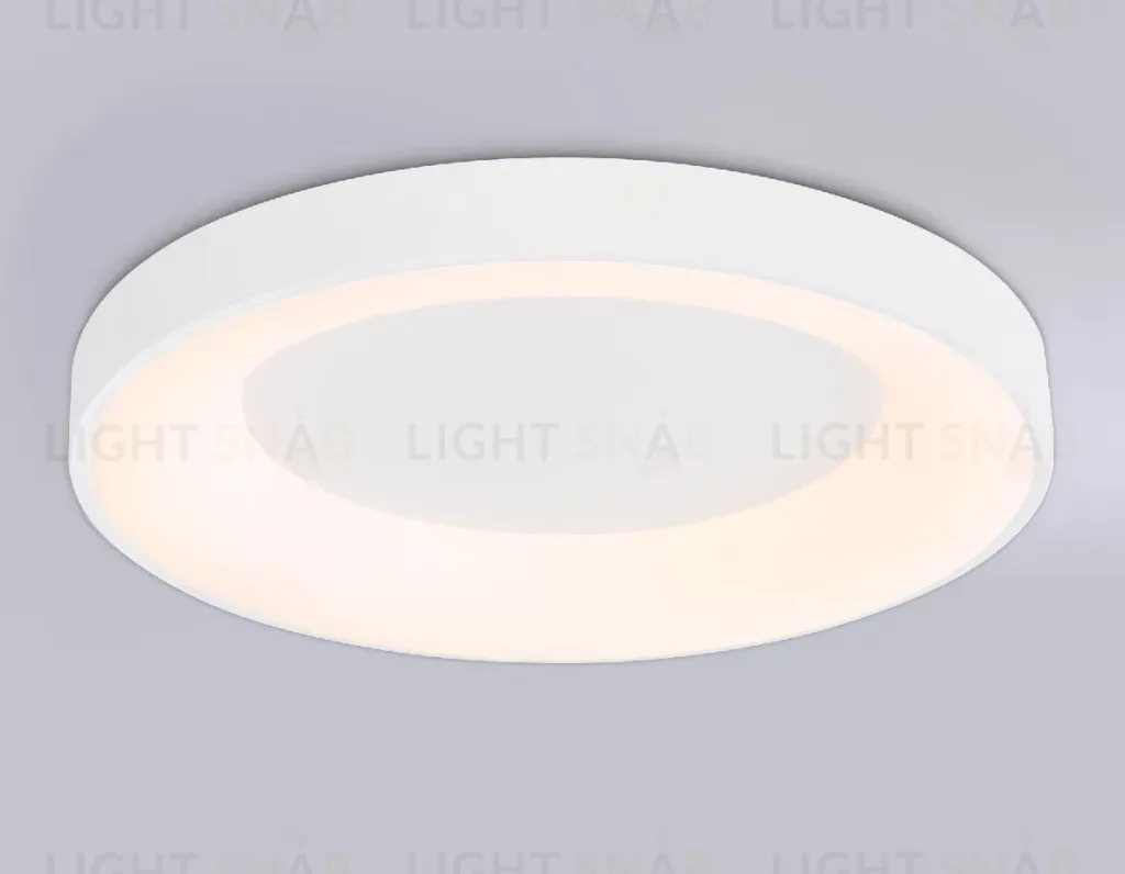 Потолочный светильник Ambrella Light Orbital Design FZ1401 FZ1401