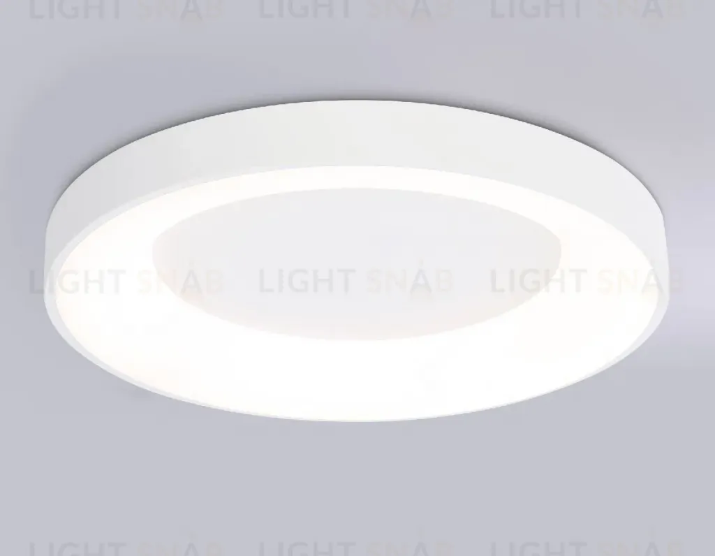 Потолочный светильник Ambrella Light Orbital Design FZ1401 FZ1401
