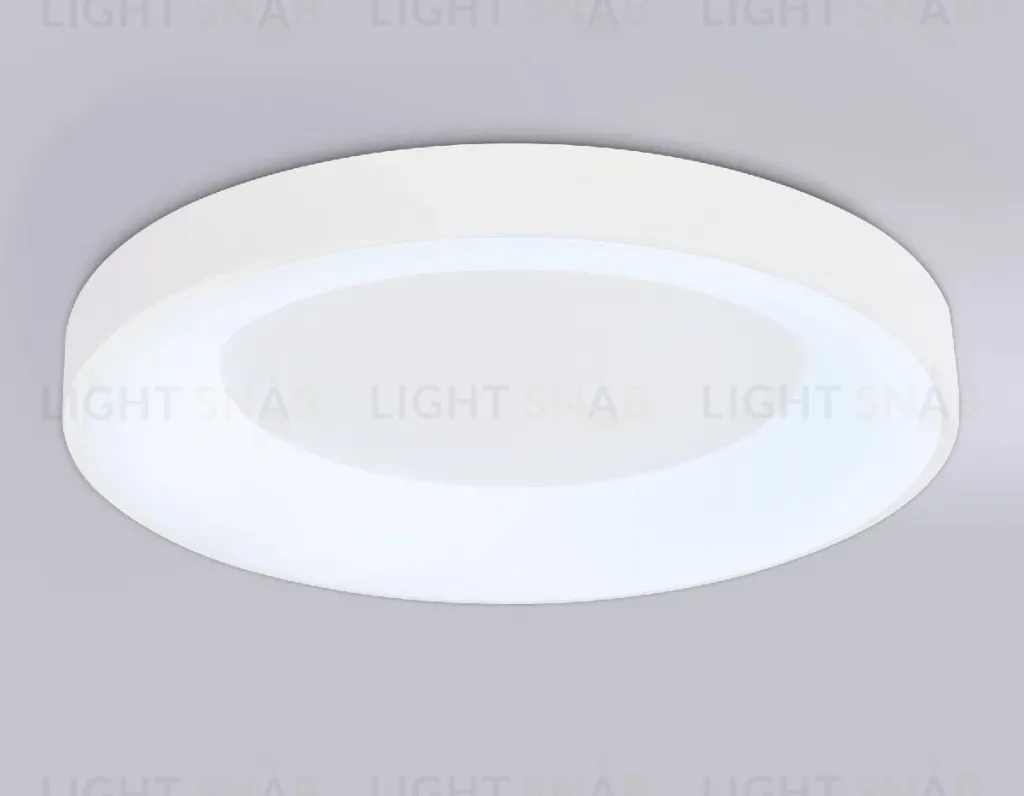 Потолочный светильник Ambrella Light Orbital Design FZ1401 FZ1401