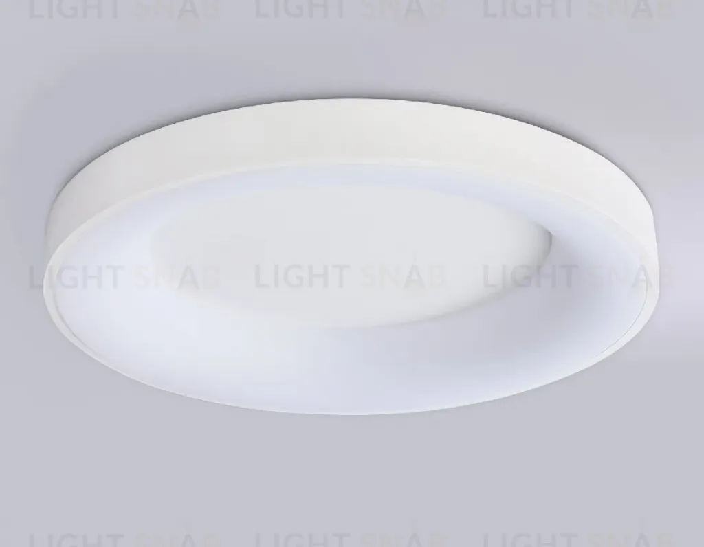 Потолочный светильник Ambrella Light Orbital Design FZ1401 FZ1401