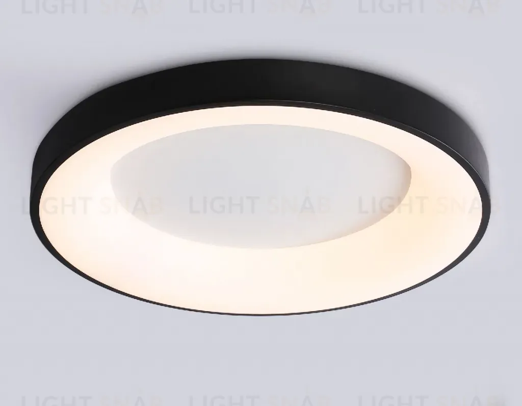 Потолочный светильник Ambrella Light Orbital Design FZ1403 FZ1403