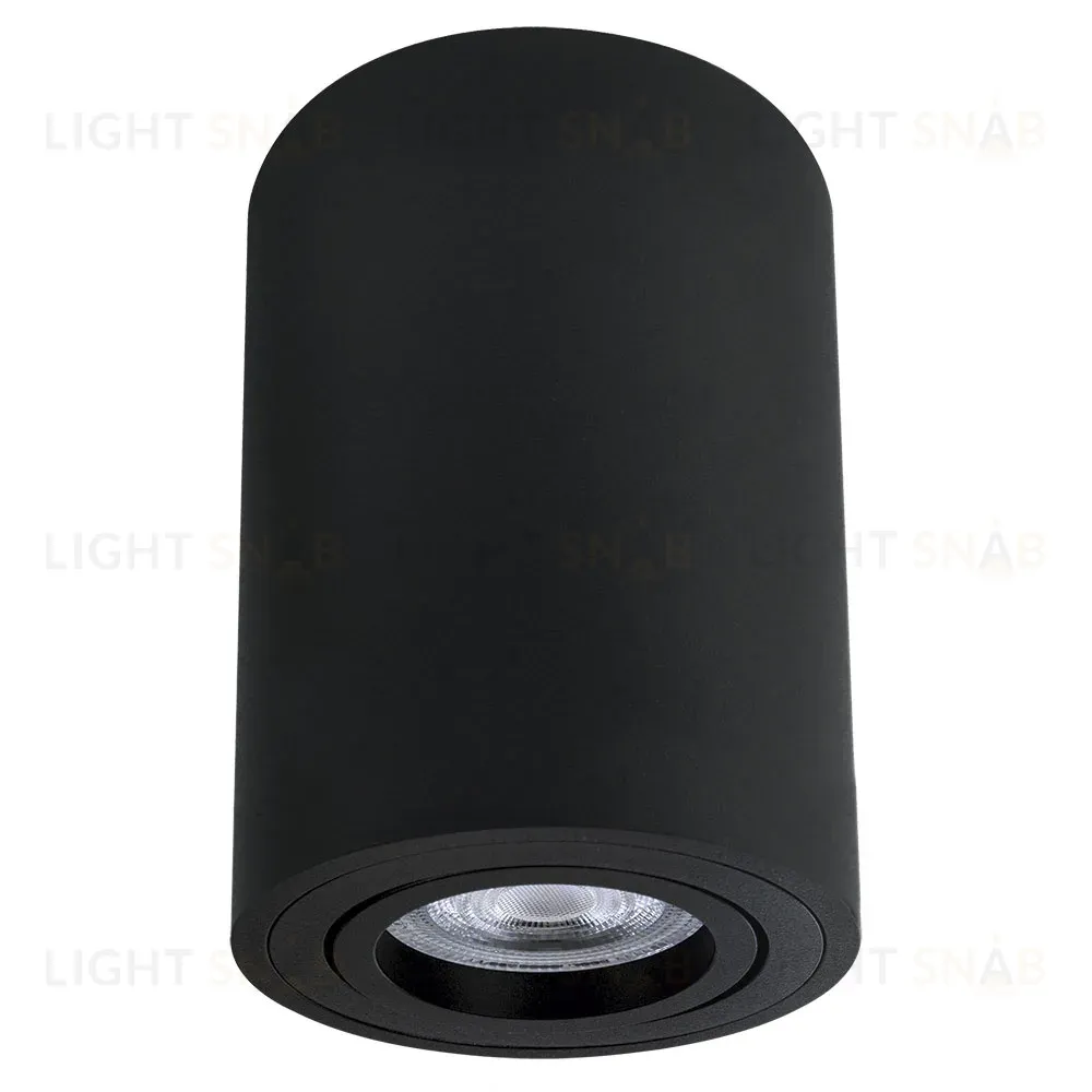 Накладной светильник Arte Lamp Sentry A1566PL-1BK A1566PL-1BK