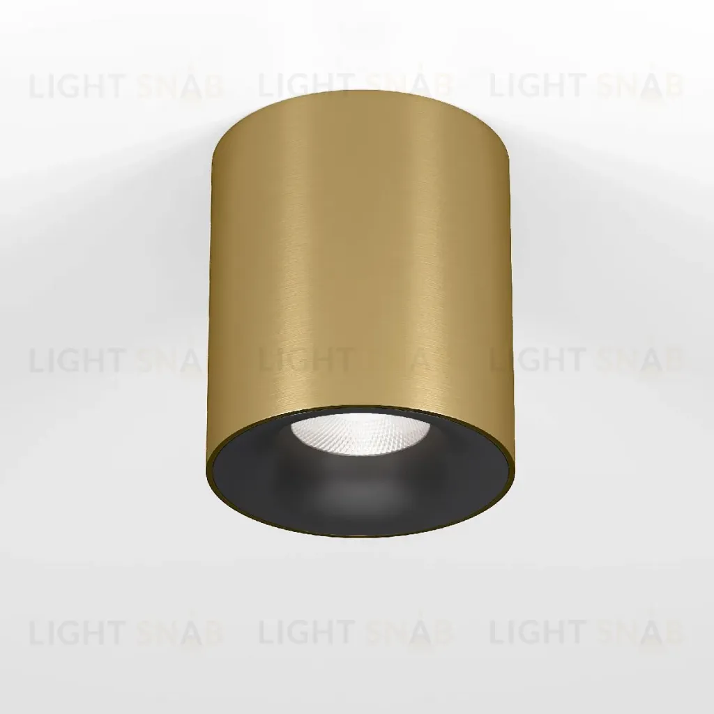 Накладной светильник Elektrostandard Primo 25116/LED 4690389212987 a069414 4690389212987