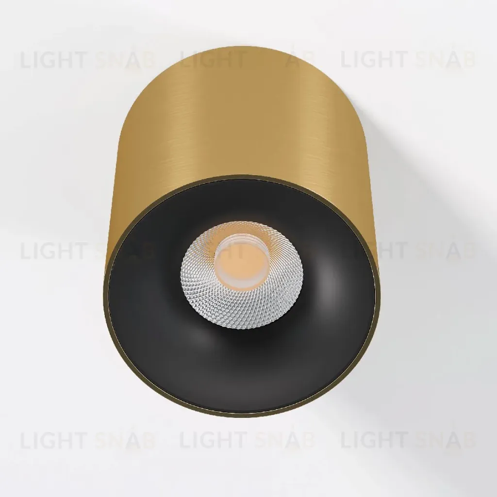 Накладной светильник Elektrostandard Primo 25116/LED 4690389212994 a069413 4690389212994