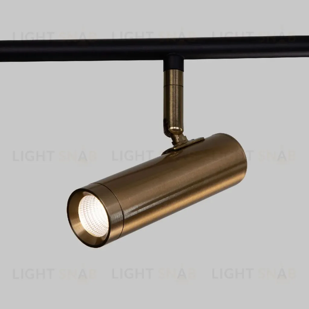 Потолочный светильник Eurosvet Epiphania 20252/6 LED черный/латунь a068799 20252/6 LED черный/латунь