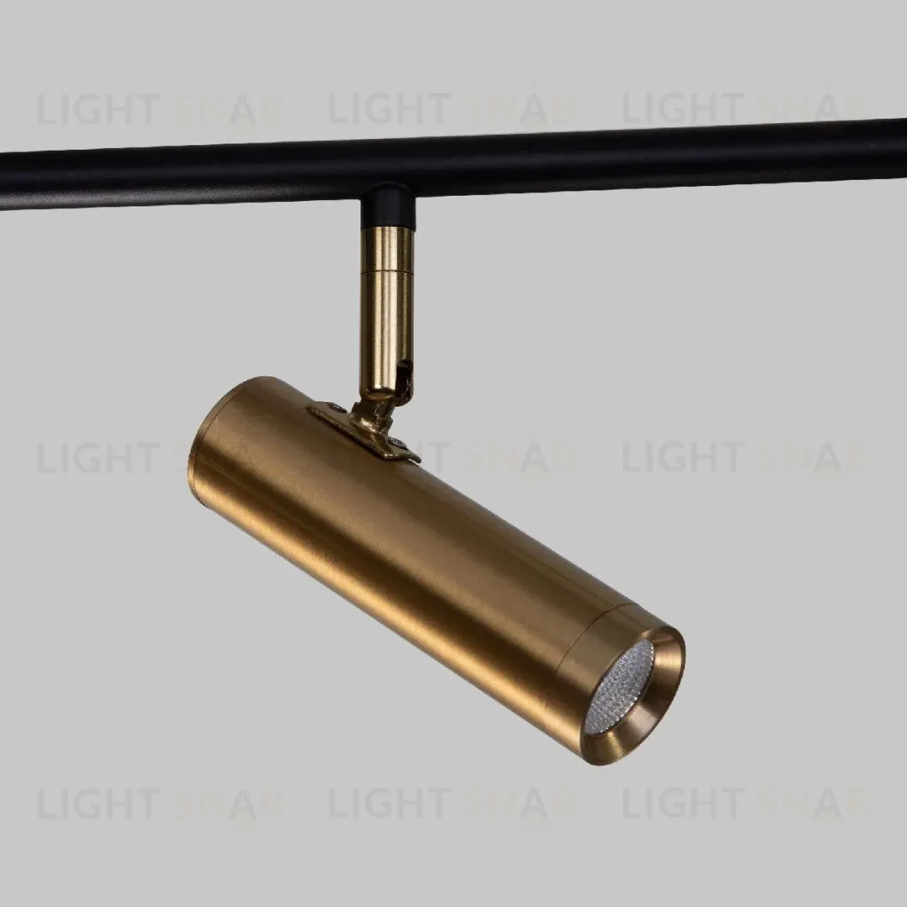 Потолочный светильник Eurosvet Epiphania 20252/6 LED черный/латунь a068799 20252/6 LED черный/латунь