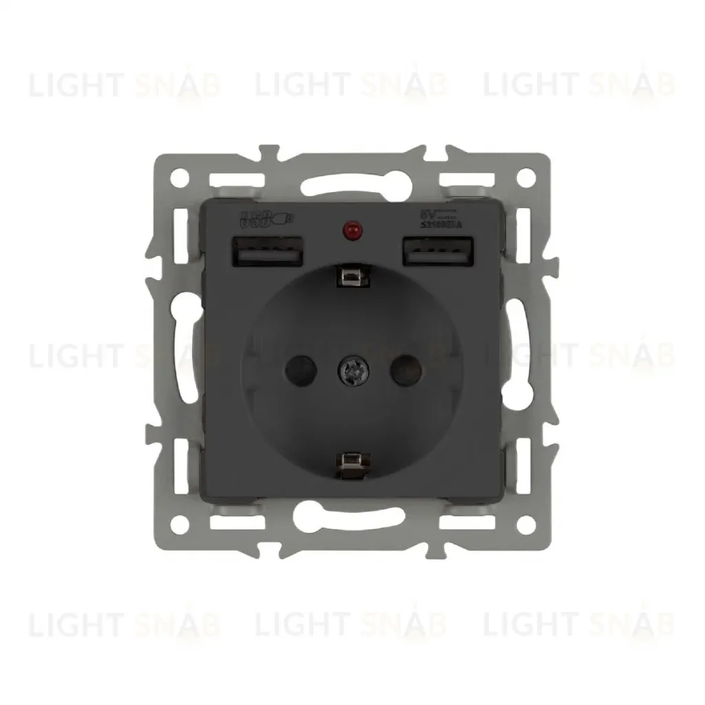 Механизм розетки с USB зарядкой Arlight SCT-MUAA-PL-BK (250V, 16A) 043734 043734