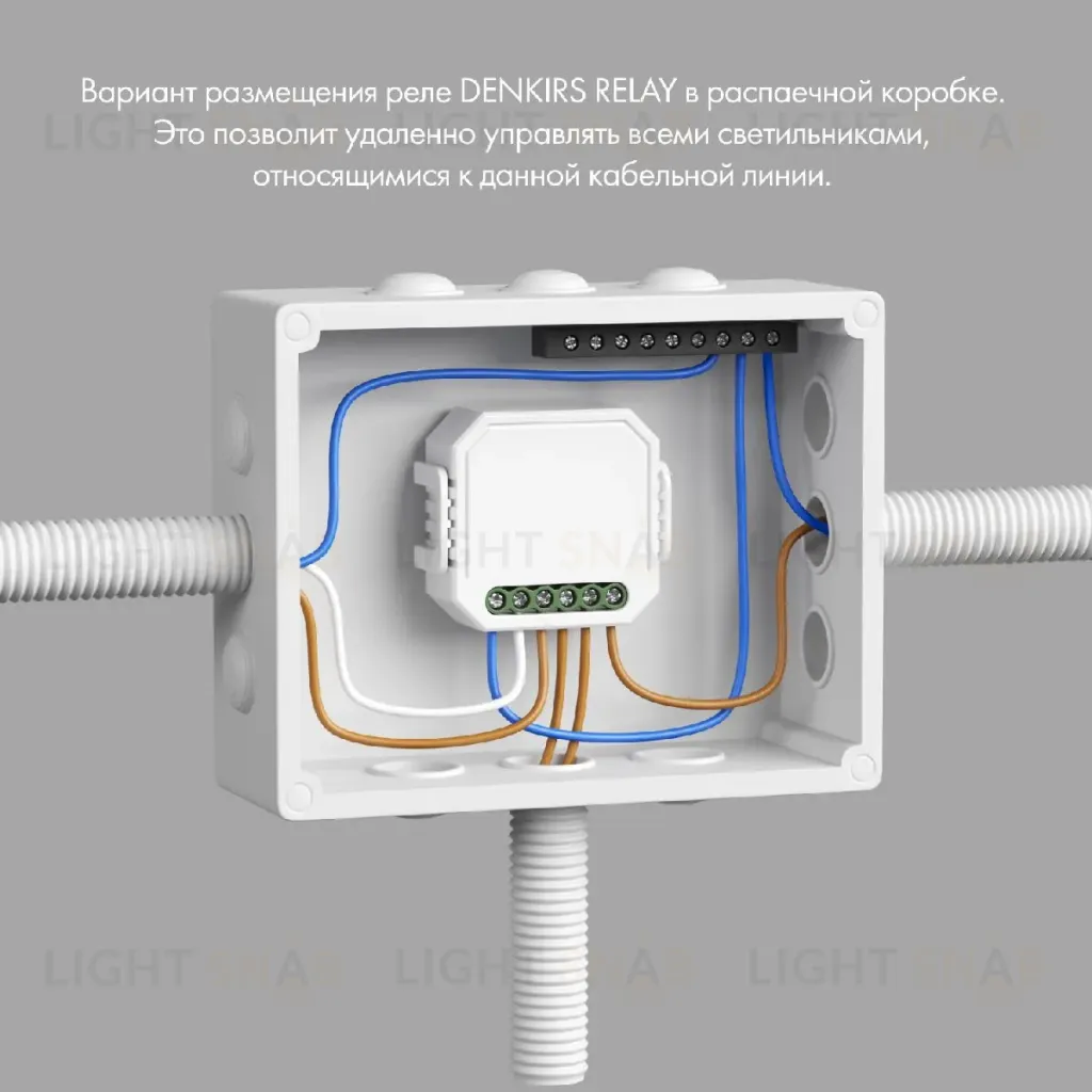Двухканальное Wi-Fi реле-диммер Denkirs Relay RL1004-DM/1 RL1004-DM/1