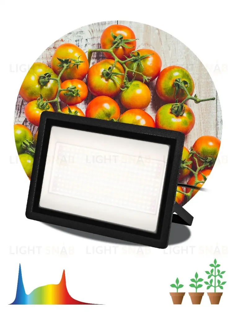 Фитопрожектор Эра FITO-150W-Ra90-LED Б0059880 Б0059880