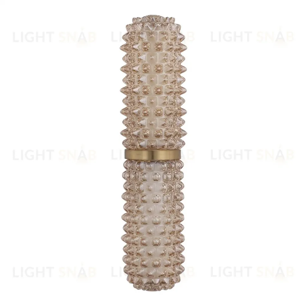 Настенный светильник ST Luce Saguaro SL6144.301.01 SL6144.301.01