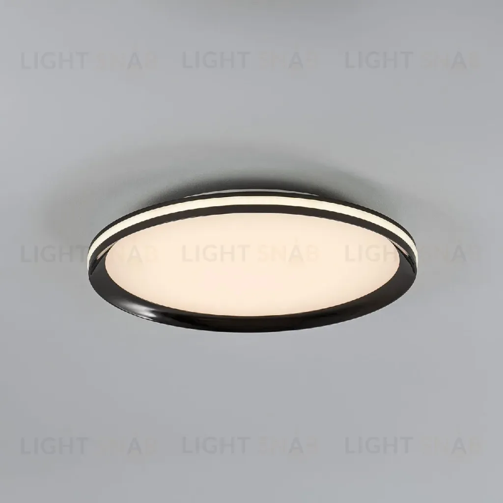 Потолочный светильник LED4U L3020-400 BK L3020-400 BK