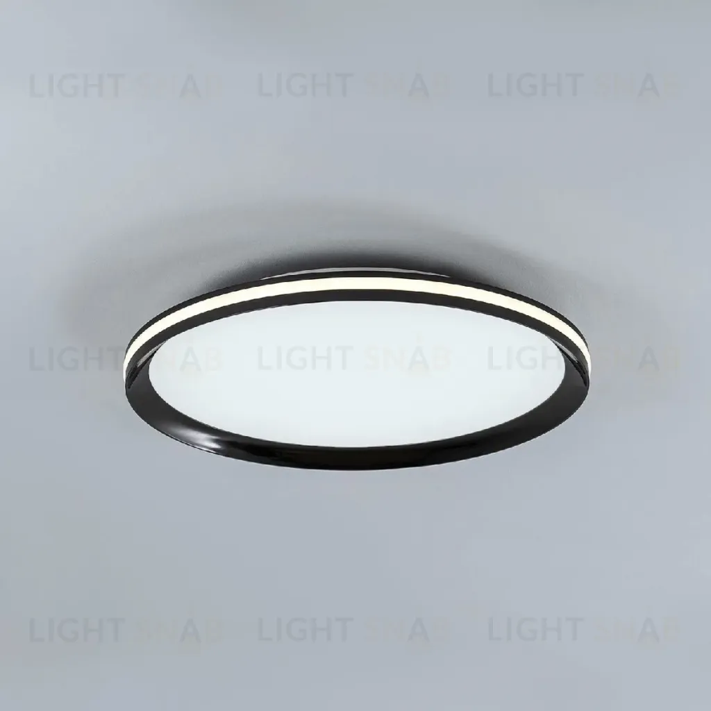 Потолочный светильник LED4U L3020-400 BK L3020-400 BK