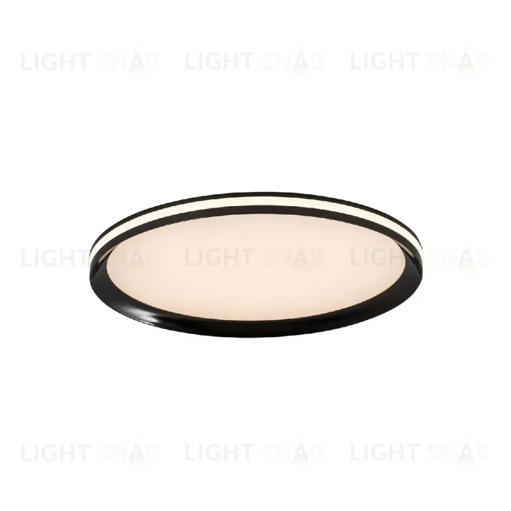Потолочный светильник LED4U L3020-400 BK L3020-400 BK