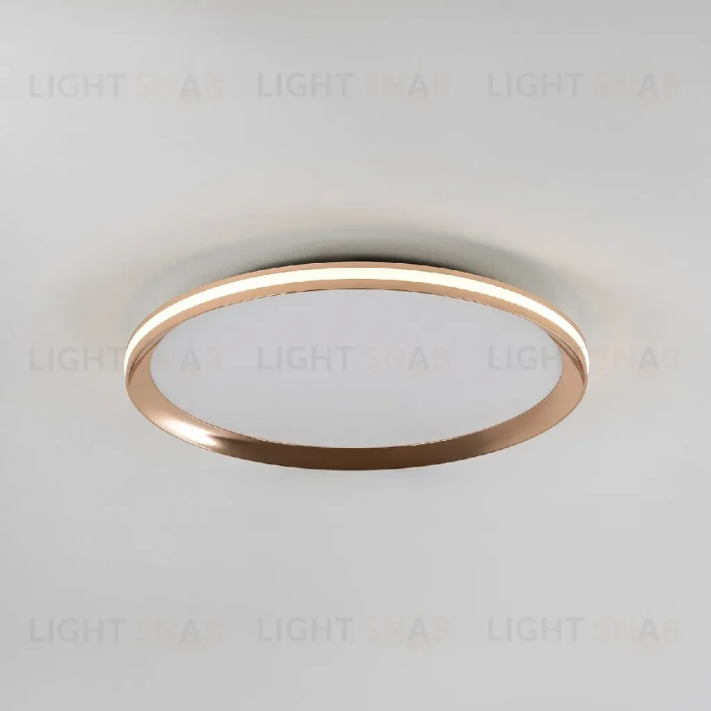 Потолочный светильник LED4U L3020-400 GD L3020-400 GD