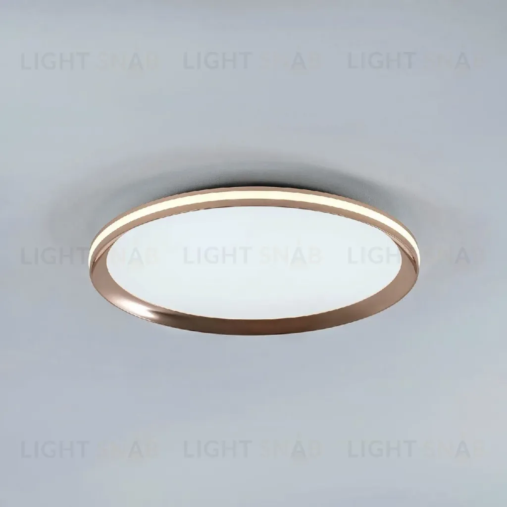 Потолочный светильник LED4U L3020-400 GD L3020-400 GD