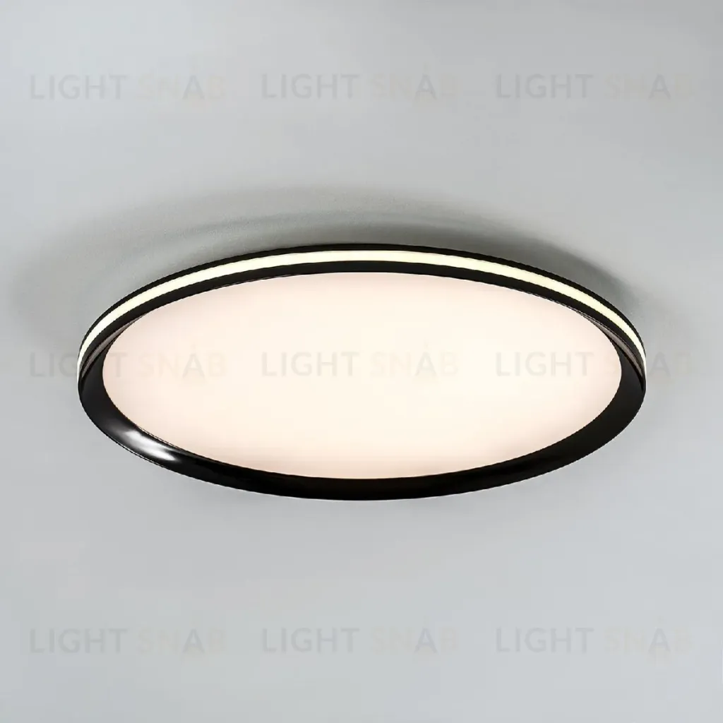 Потолочный светильник LED4U L3020-500 BK L3020-500 BK