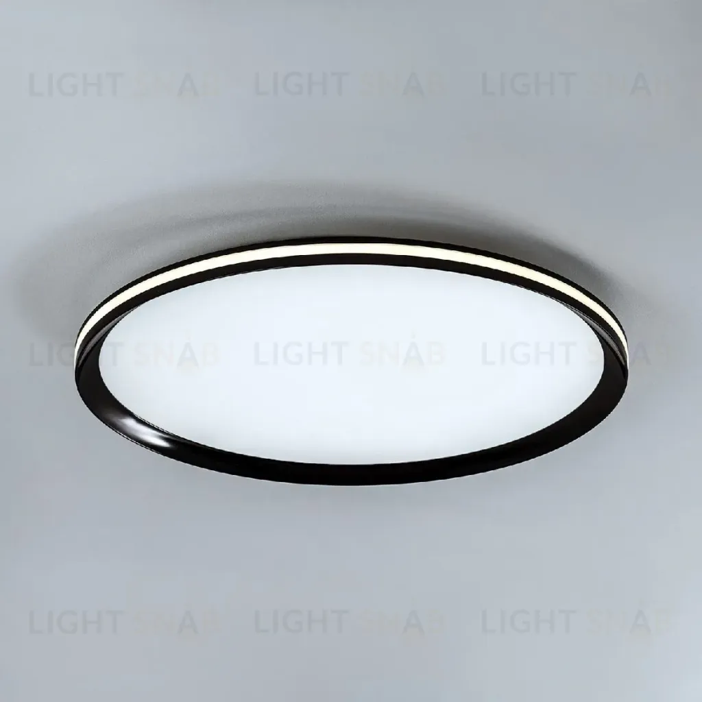 Потолочный светильник LED4U L3020-500 BK L3020-500 BK