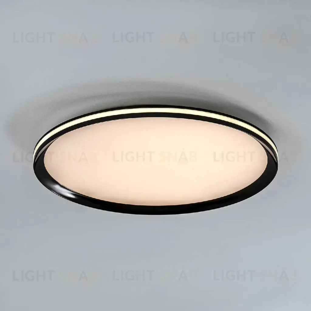 Потолочный светильник LED4U L3020-500 BK L3020-500 BK