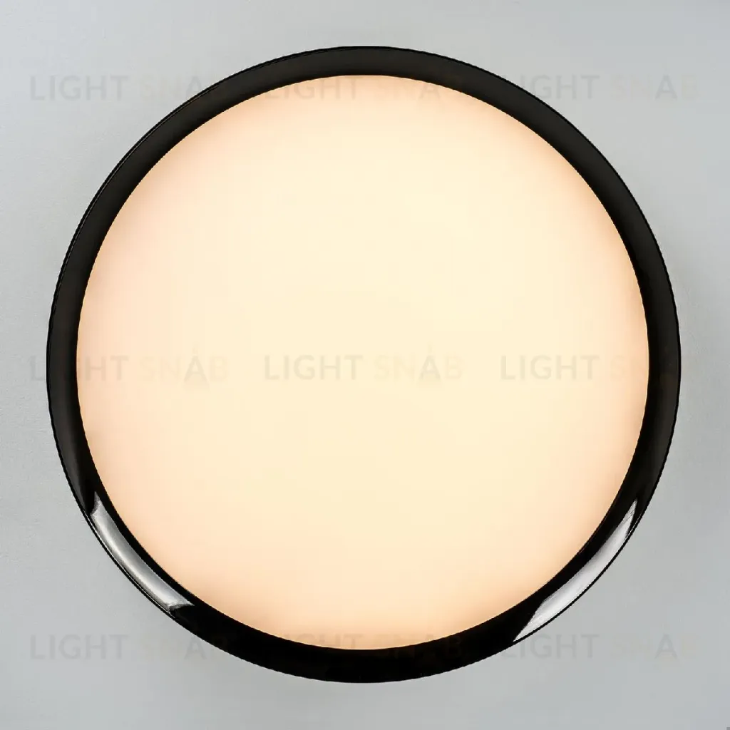 Потолочный светильник LED4U L3020-500 BK L3020-500 BK