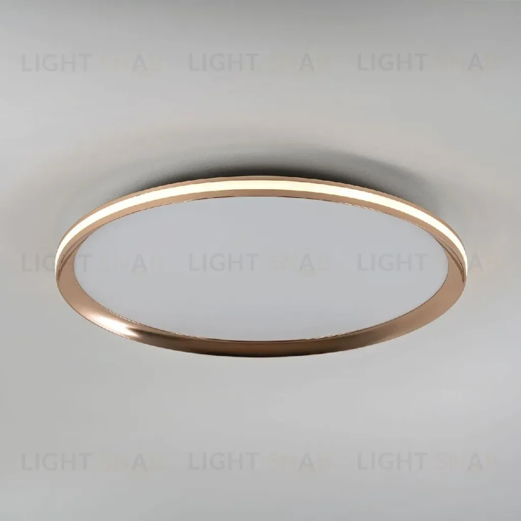 Потолочный светильник LED4U L3020-500 GD L3020-500 GD