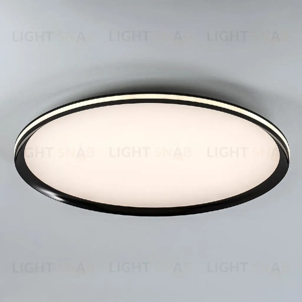 Потолочный светильник LED4U L3020-600 BK L3020-600 BK