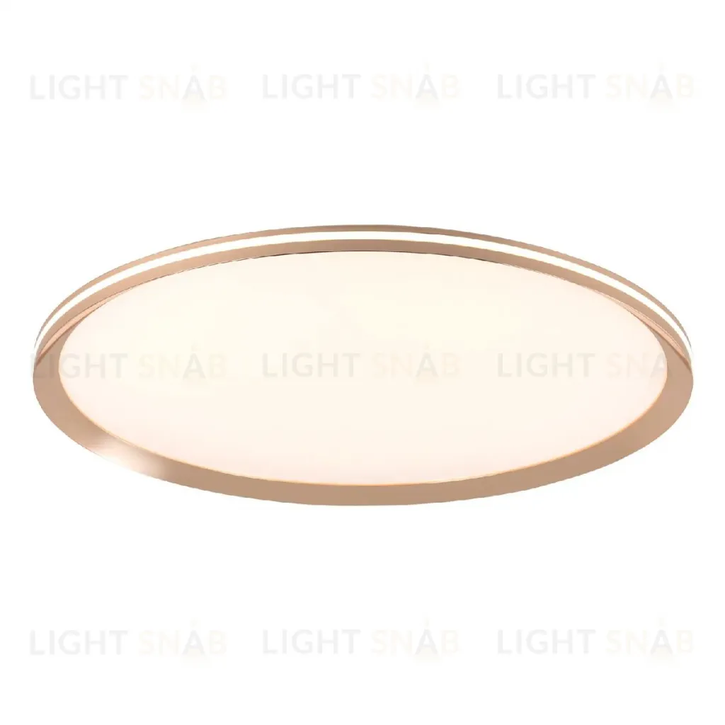 Потолочный светильник LED4U L3020-600 GD L3020-600 GD