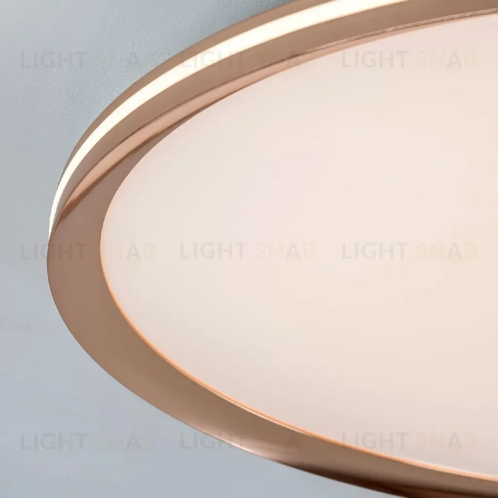 Потолочный светильник LED4U L3020-600 GD L3020-600 GD