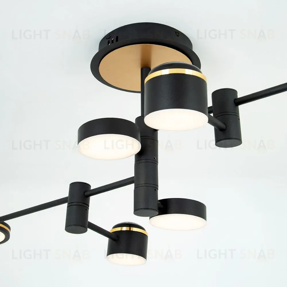 Потолочная люстра LED4U L3120-6 L3120-6