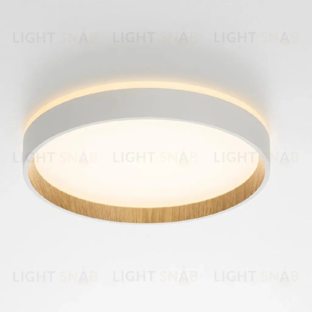 Потолочный светильник Citilux Etalon CL750240 CL750240