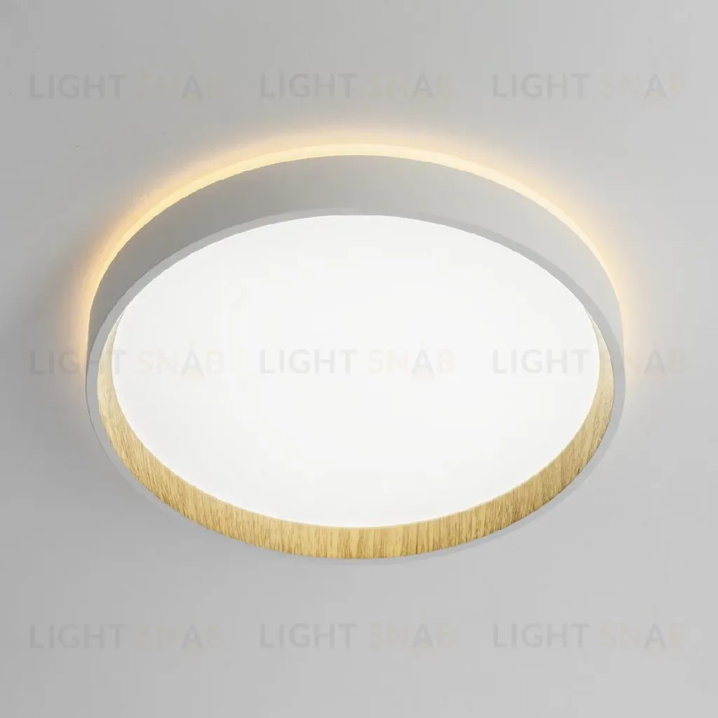 Потолочный светильник Citilux Etalon CL750240 CL750240