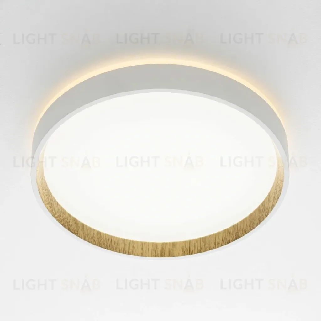 Потолочный светильник Citilux Etalon CL750240 CL750240